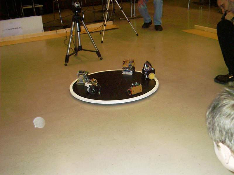 Mini Sumo Last Man Standing