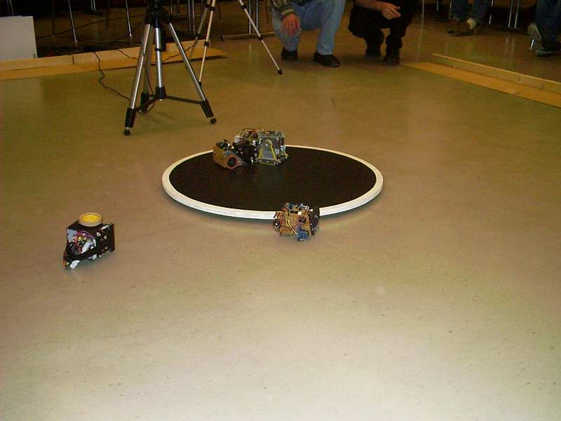 Mini Sumo Last Man Standing