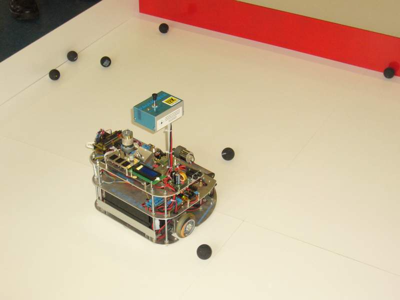 Volleyballer Primus von Stefan