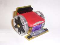 MICROTORA