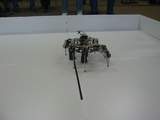 Hexabot 3 Video